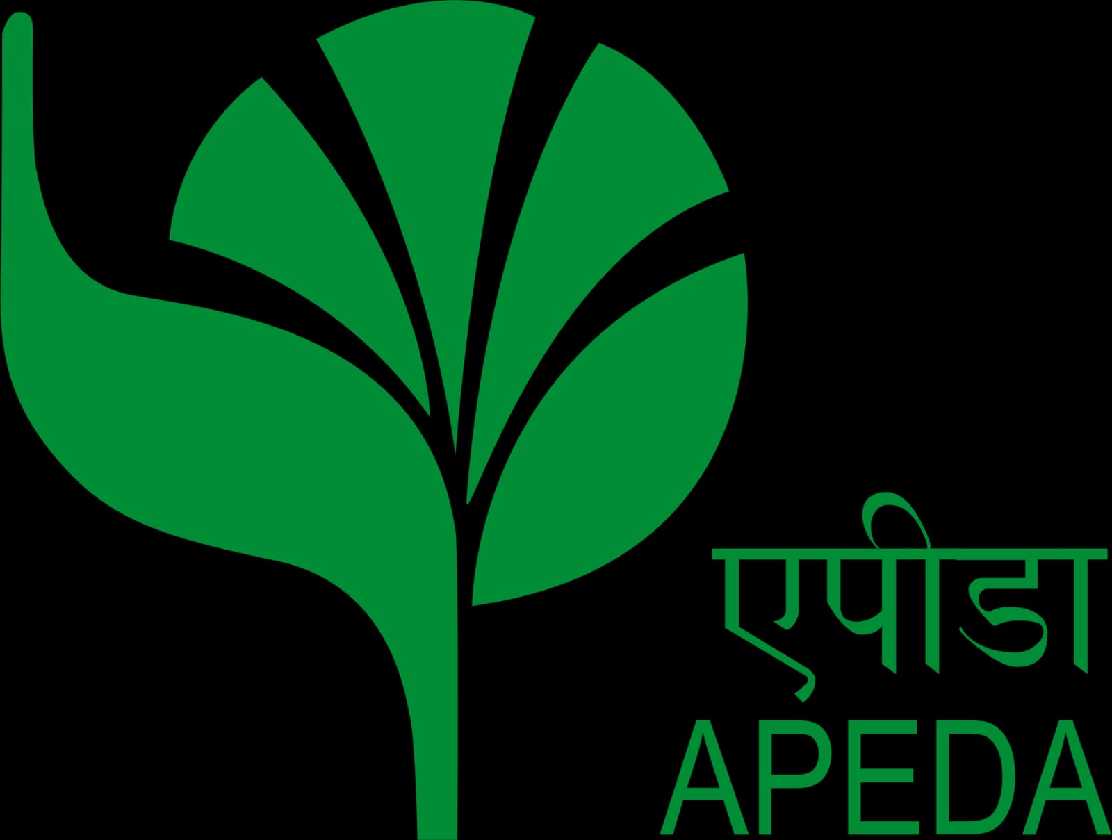 APEDA Certificate