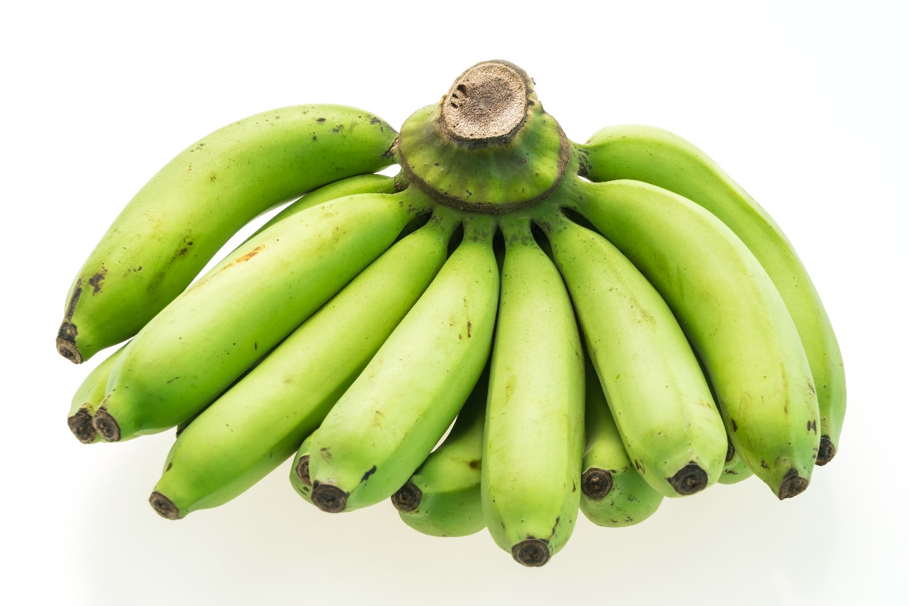 Cavendish Banana