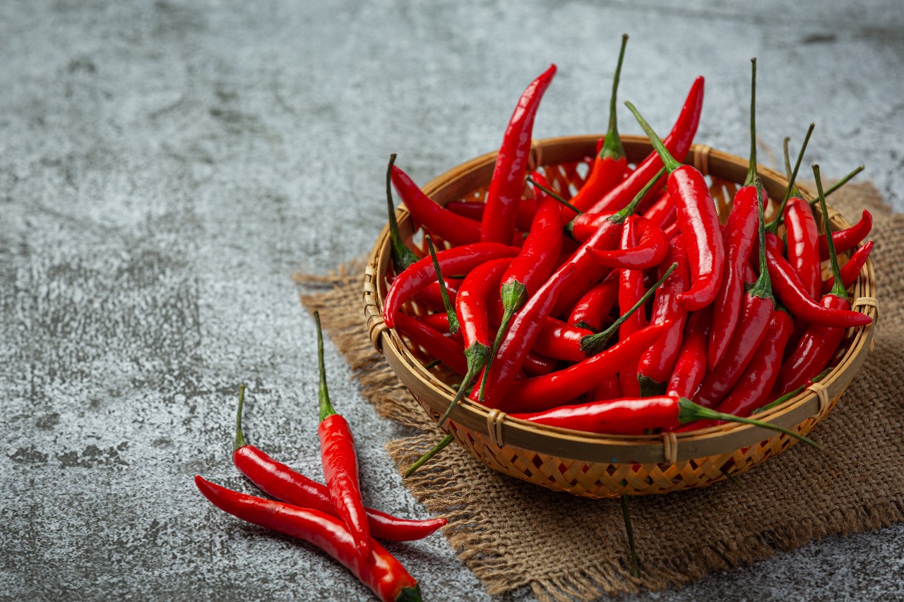S17 Teja Red Chili
